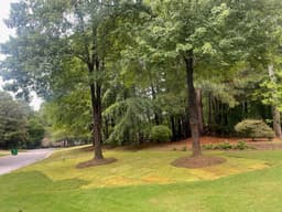 15 Years of Landscaping Expertise's image