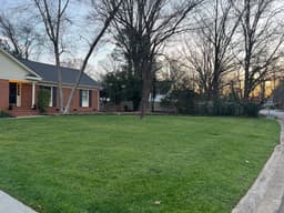 Best Landscaping Company in South Charlotte 2022's image