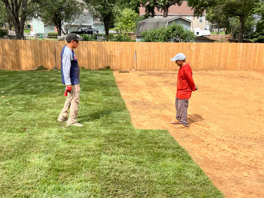 Project Residential Yard Transformation image