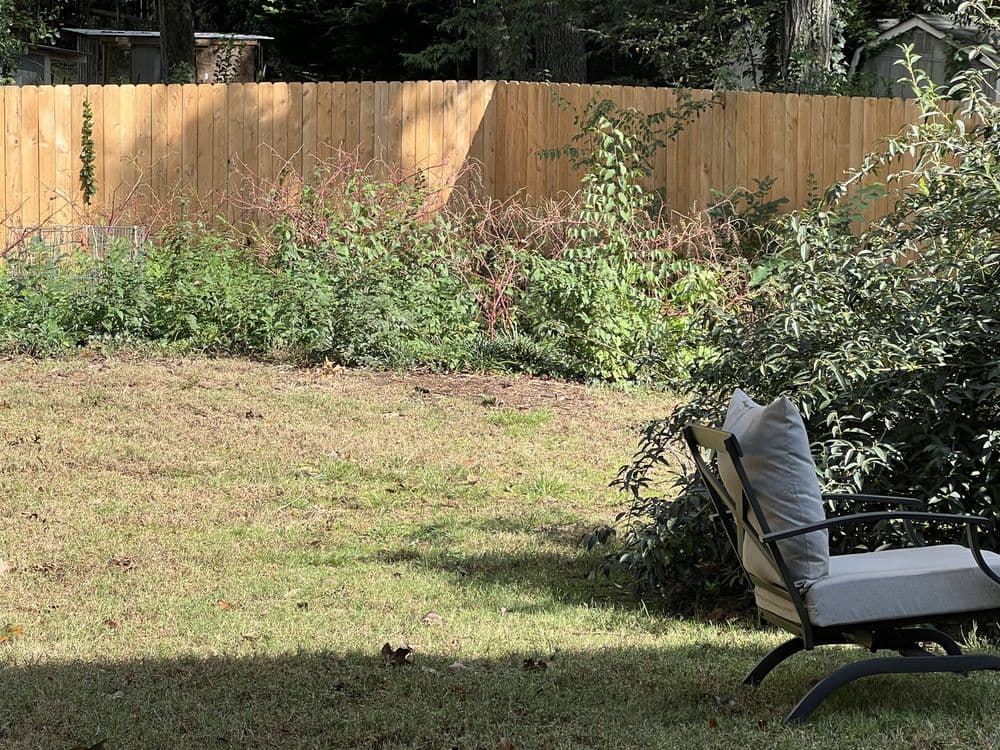 Gallery photos for Residential Yard Transformation: Image #3