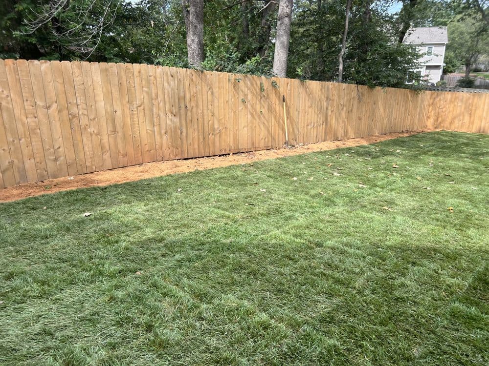 Gallery photos for Residential Yard Transformation: Image #12