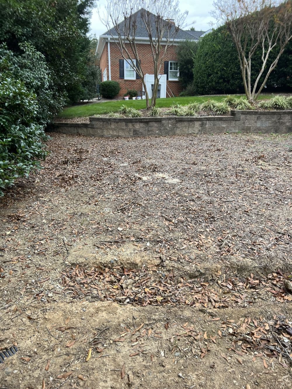 Gallery photos for Residential Yard Transformation: Image #14