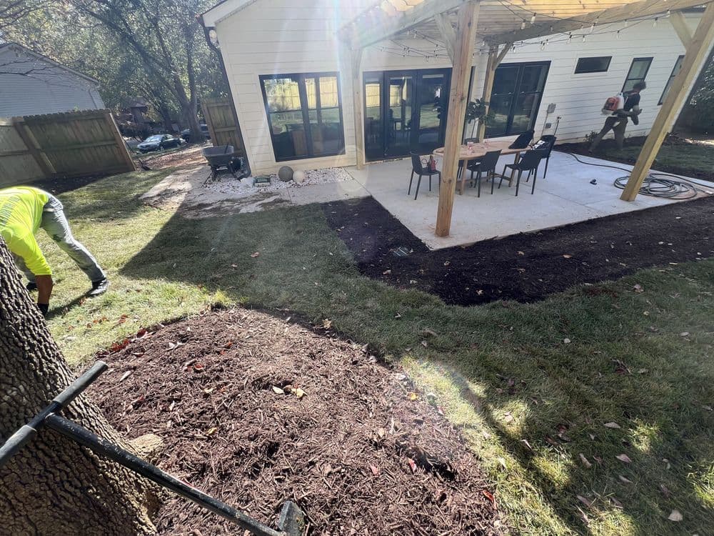 Gallery photos for Residential Yard Transformation: Image #16