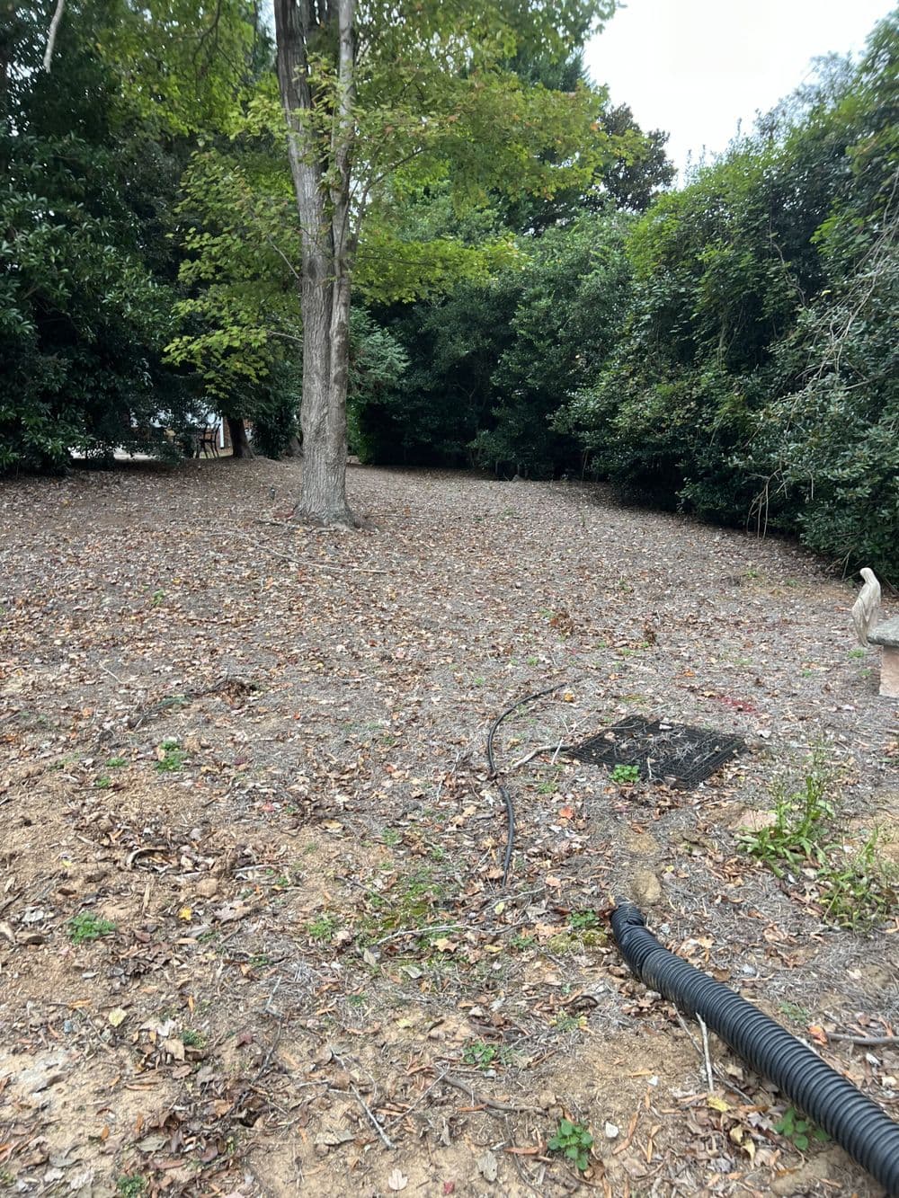 Gallery photos for Residential Yard Transformation: Image #18