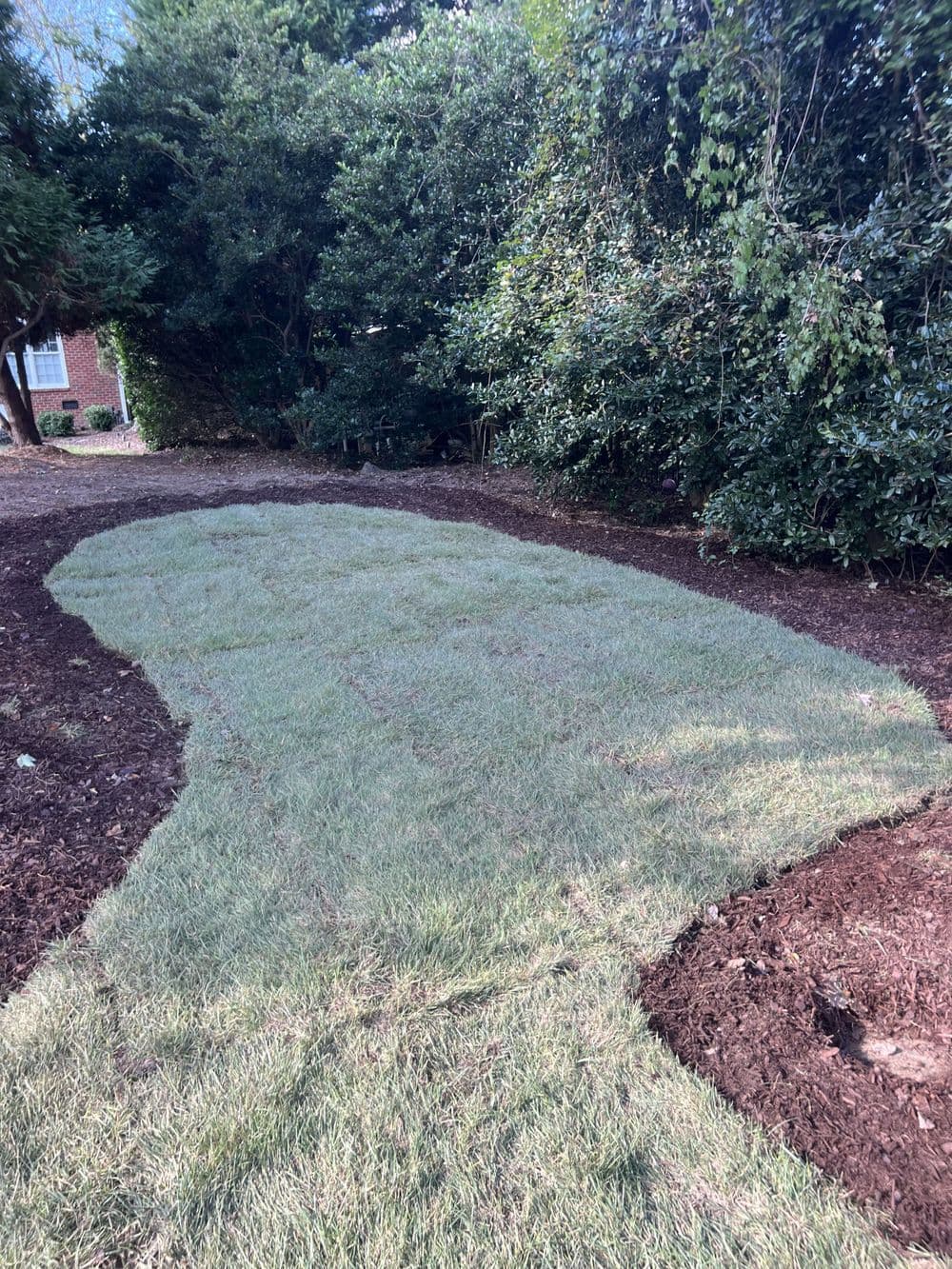 Gallery photos for Residential Yard Transformation: Image #19