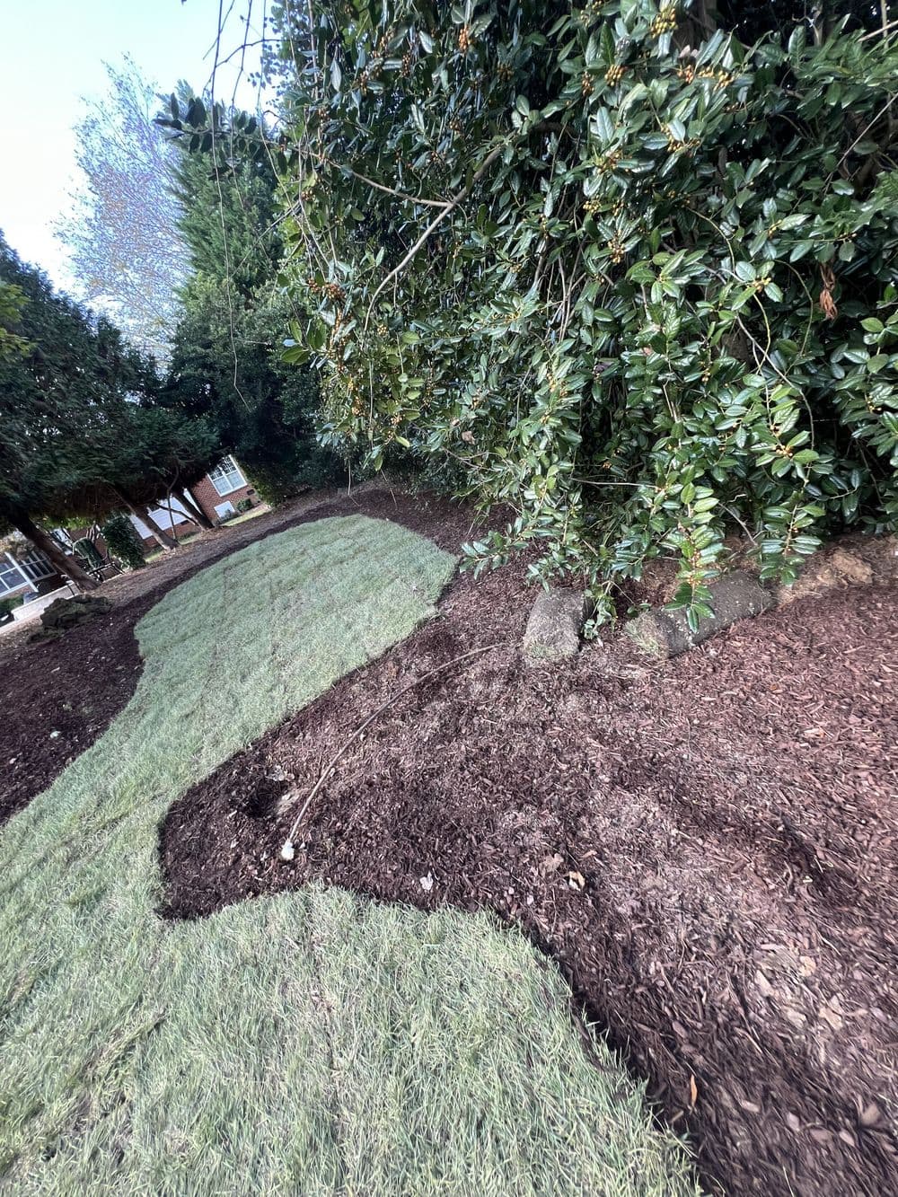 Gallery photos for Residential Yard Transformation: Image #20