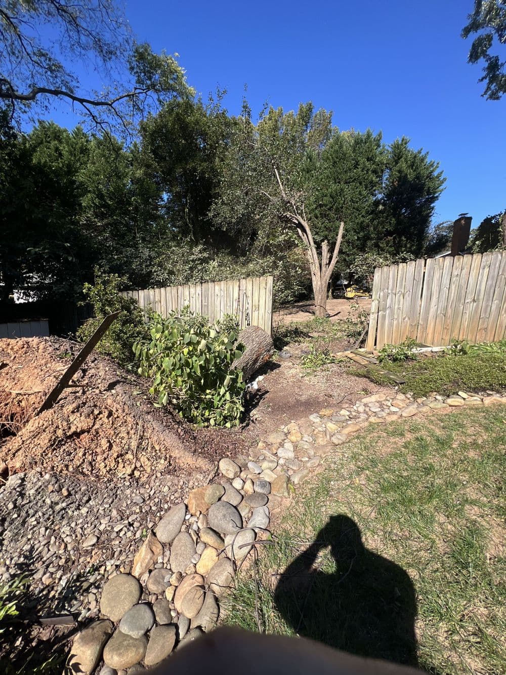 Gallery photos for Residential Yard Transformation: Image #21