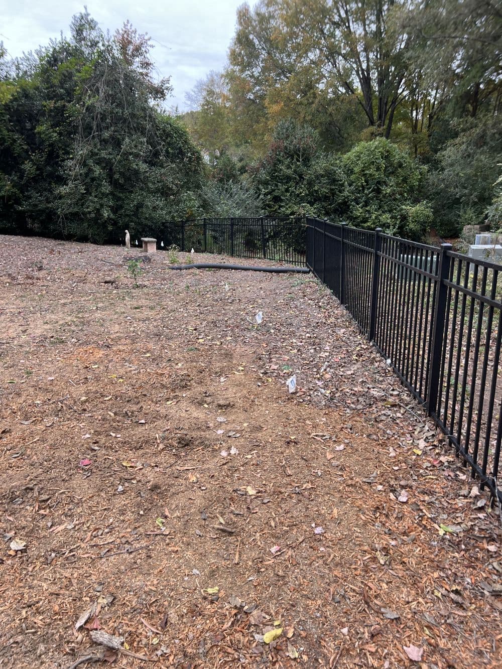 Gallery photos for Residential Yard Transformation: Image #29