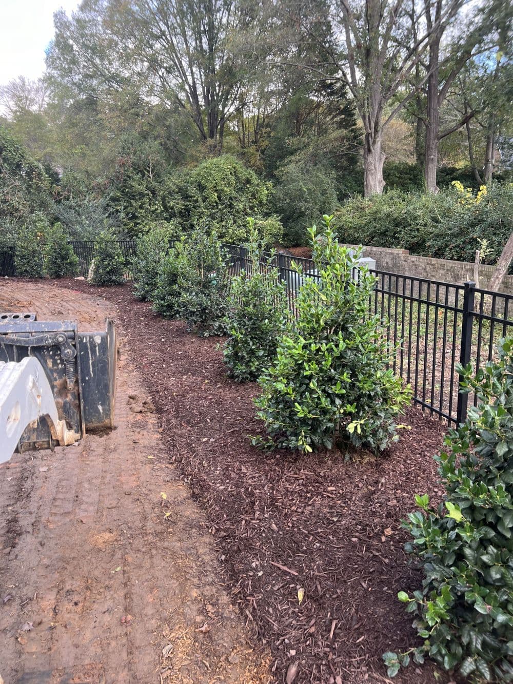 Gallery photos for Residential Yard Transformation: Image #30