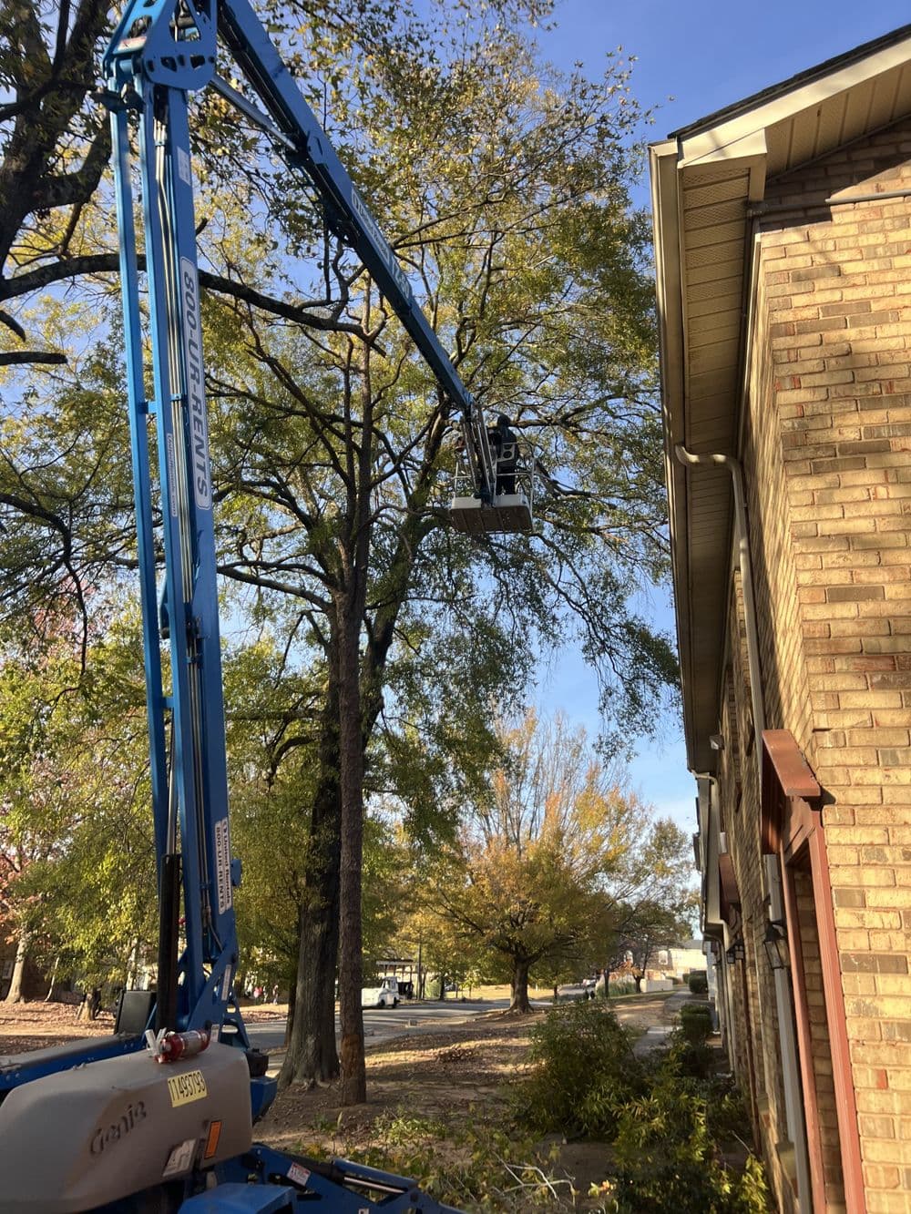 Gallery photos for Residential Yard Transformation: Image #33
