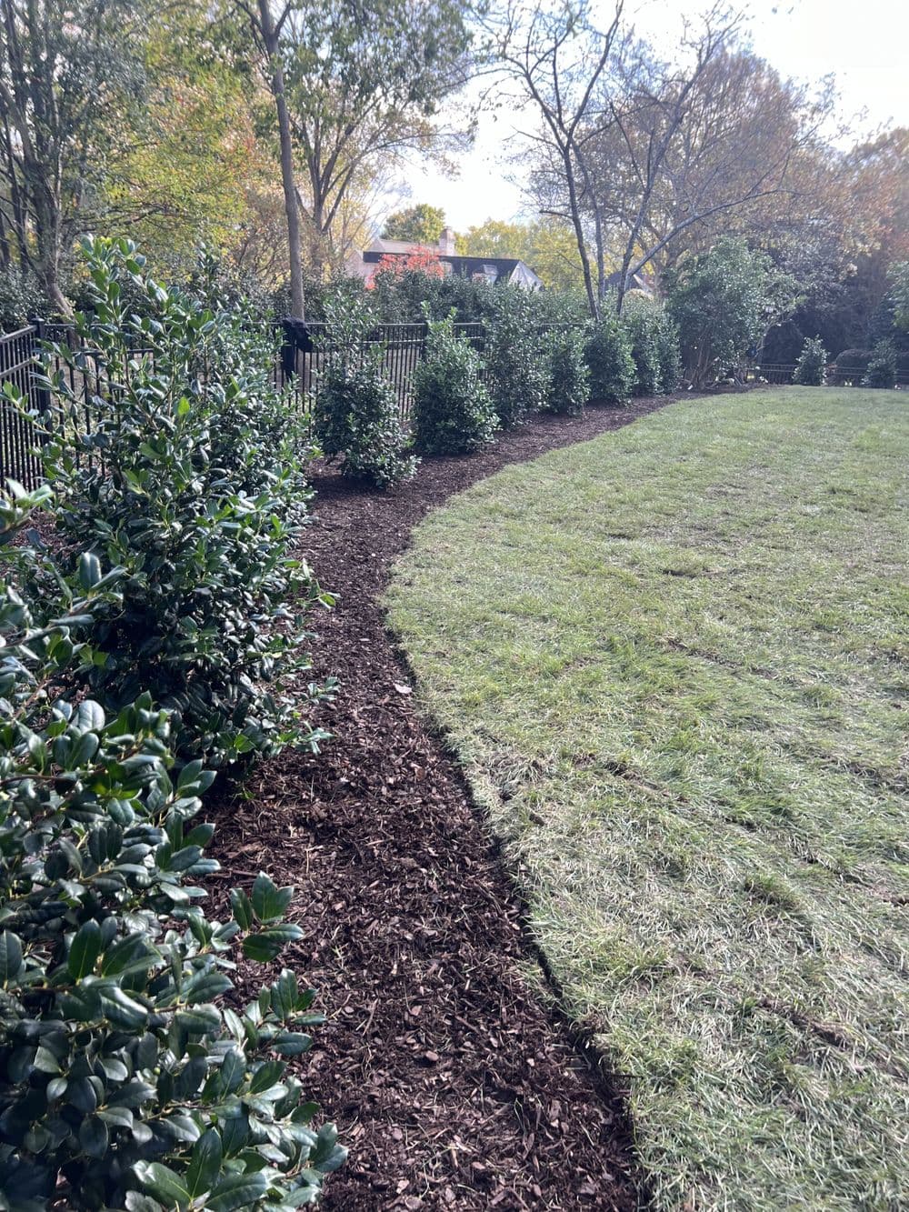 Gallery photos for Residential Yard Transformation: Image #32