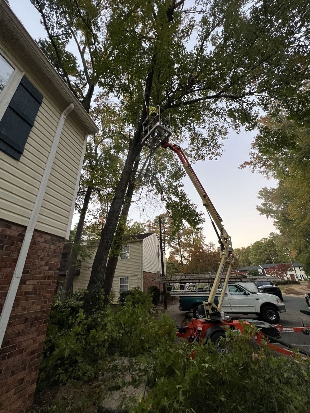 Gallery photos for Residential Yard Transformation: Image #34