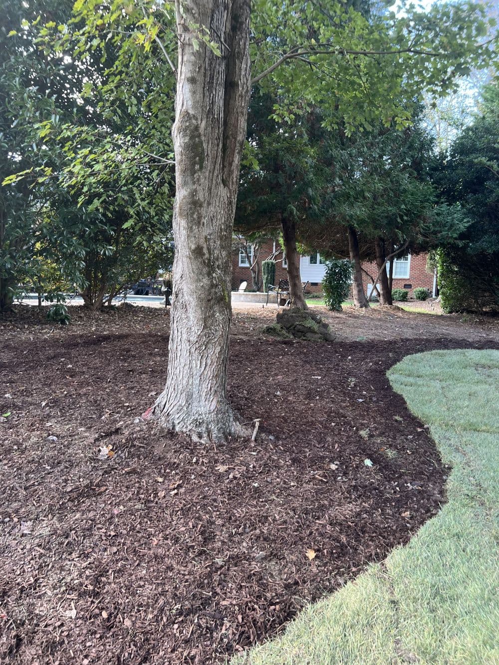 Gallery photos for Residential Yard Transformation: Image #37